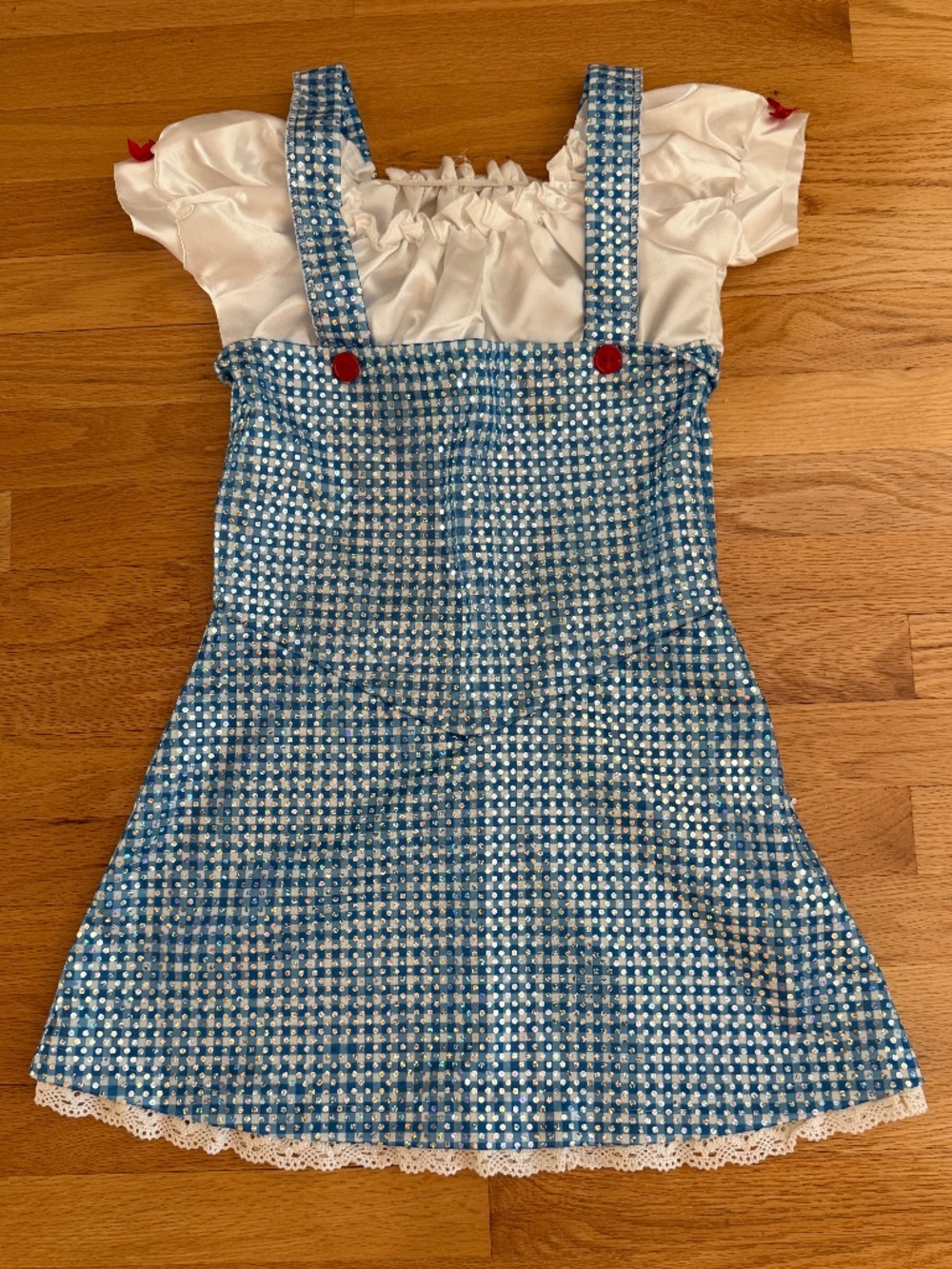 Wizard of Oz Dorothy Costume Dress Size Teen Medium